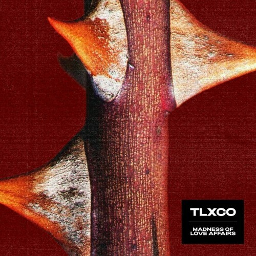  TLXCO - Madness of Love Affairs (2024) 