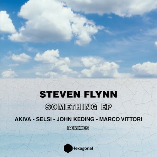  Steven Flynn - Something (2024) 