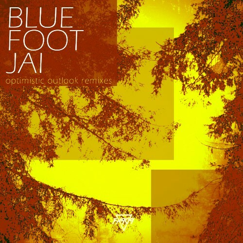  Bluefootjai - Optimistic Outlook Remixes (2025) 