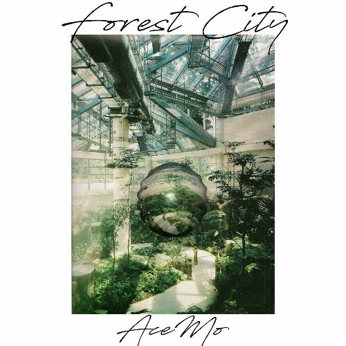  AceMo - Forest City (2025) 