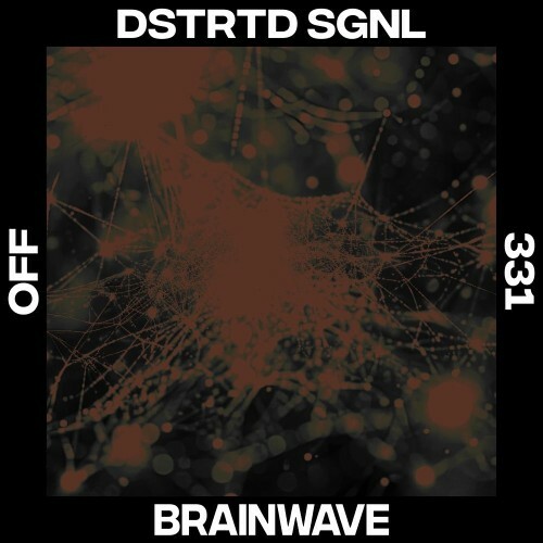  DSTRTD SGNL - Brainwave (2025) 