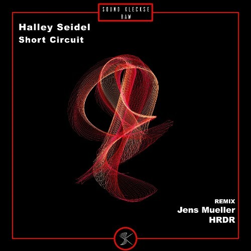  Halley Seidel - Short Circuit (2024) 
