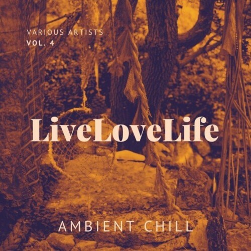 VA - Live Love Life (Ambient Chill), Vol. 4 (2023) (MP3)