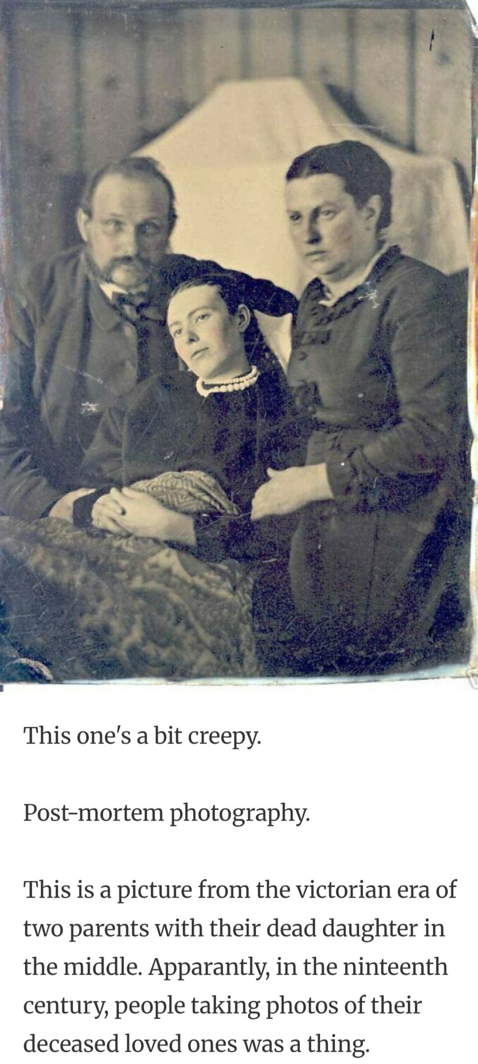 ME1BLNH0_o.jpg