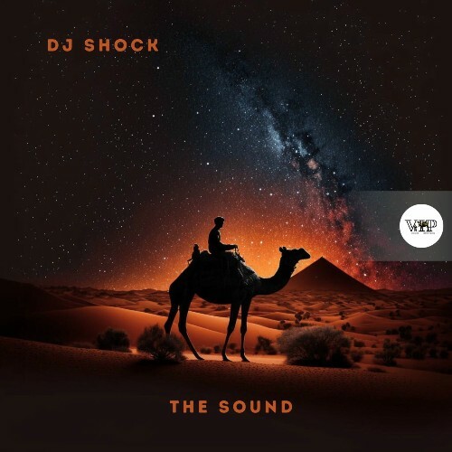 DJ Shock - The Sound (2025) DJ Shock - The Sound (2025)