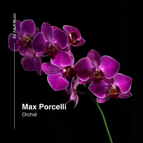  Max Porcelli - Orchid (2025) 