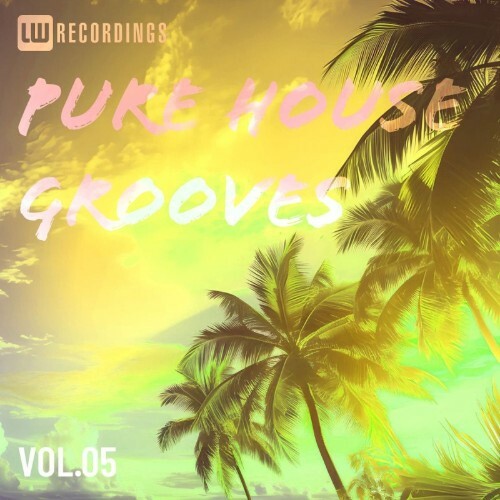 Pure House Grooves, Vol. 05 (2026)
