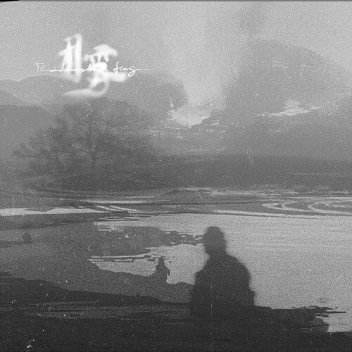  Radiation Fog - Radiation Fog (2025) 