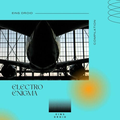 VA - Emmi Borgas - Electro Enigma (2024) (MP3) MEV03B5_o