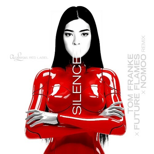  Tom Franke & Future Flames - Silence (Nomoo Remix) (2025) 