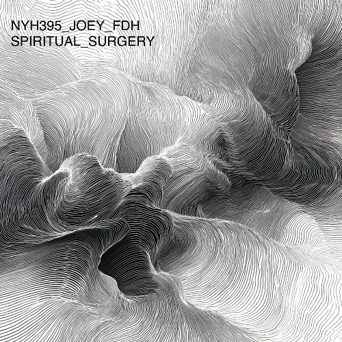  Joey FDH - Spiritual Surgery (2025) 