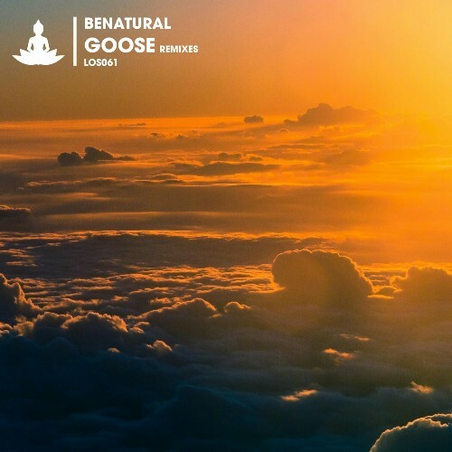 VA - Benatural - Goose (Remixes) (2024) (MP3) METIIOV_o