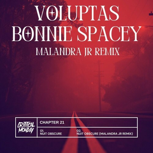 VOLUPTAS & Bonnie Spacey - Chapter 21  (2024) 