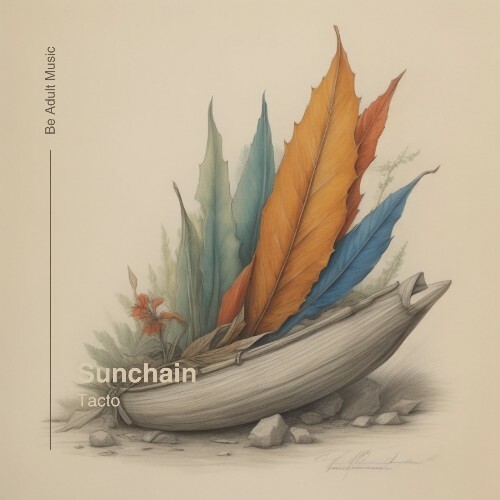 VA - Sunchain - Tacto (2024) (MP3) MEX8QC3_o