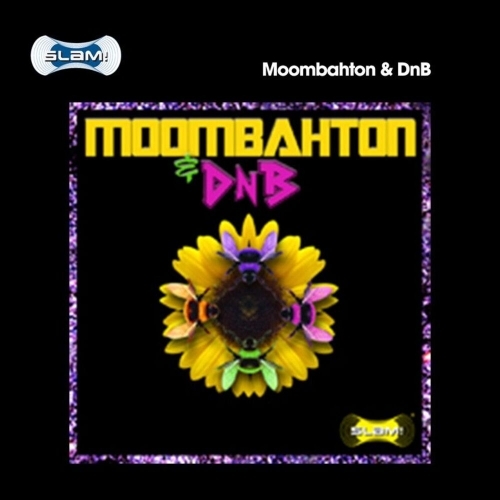 Moombahton & DnB (2025)