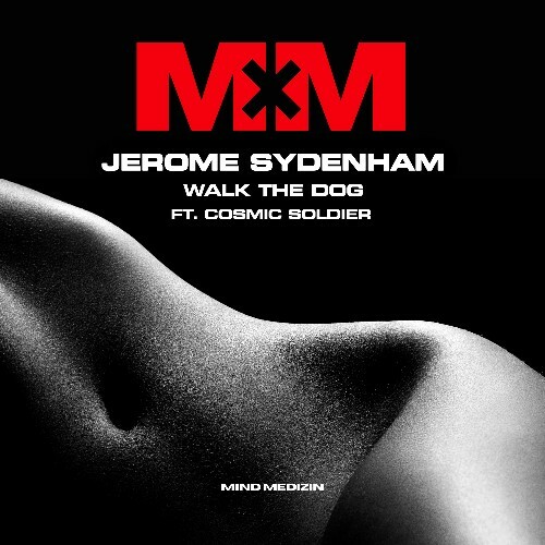Jerome Sydenham Feat Cosmic Soldier - Walk The Dog (2024)