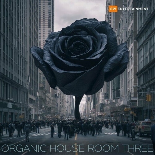  Organic House Room Three (2025) 