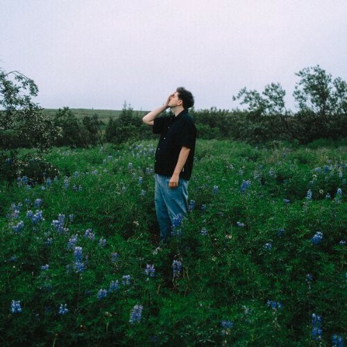  XANKY - small moves (2026) 