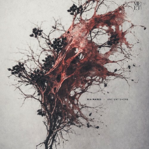  Ria Mares - Ancient Shore (2026) 