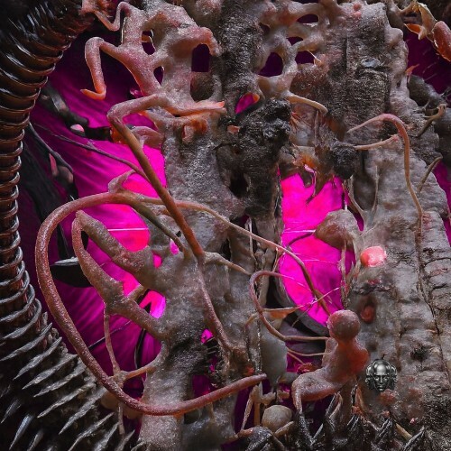  INMNT - Revenge (2026) 