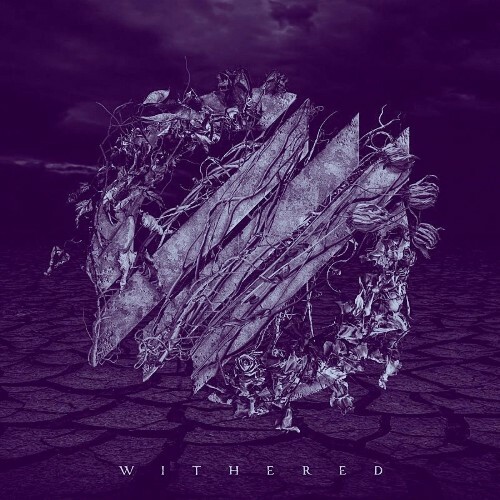  Absent Colors - Withered (Deluxe) (2025) 