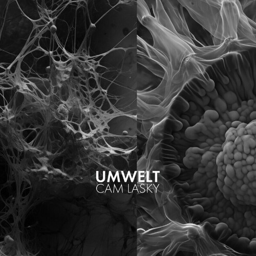  Cam Lasky - UMWELT Vol.3 (2024) 