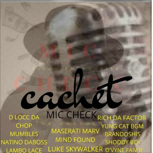  Cachet - Mic Check The Analogy (2024) 