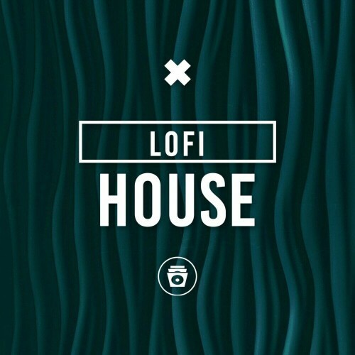 VA - Lofi Sleep Chill and Study - Lofi House (2024) (MP3)