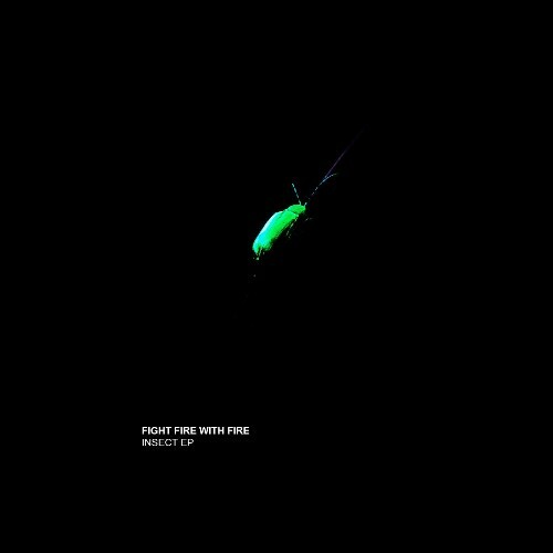 Fight Fire With Fire — Insect (2026)