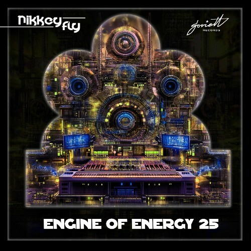  Nikkey Fly - Engine of Energy 25 (2025) 