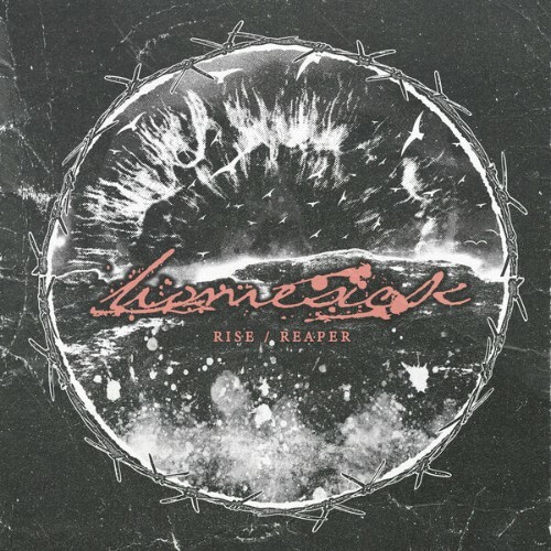 Homesick — Rise / Reaper (2026)