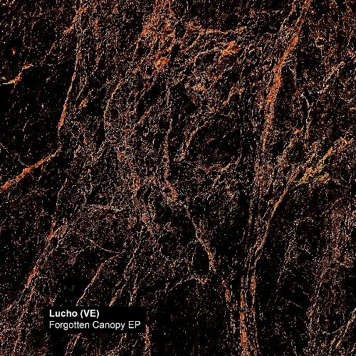  Lucho (VE) - Forgotten Canopy (2025) 