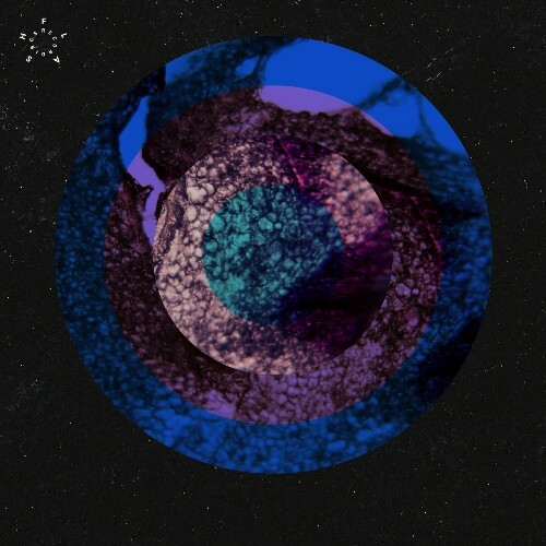 01100110 — Stumbling Blocks of Humankind (2026)