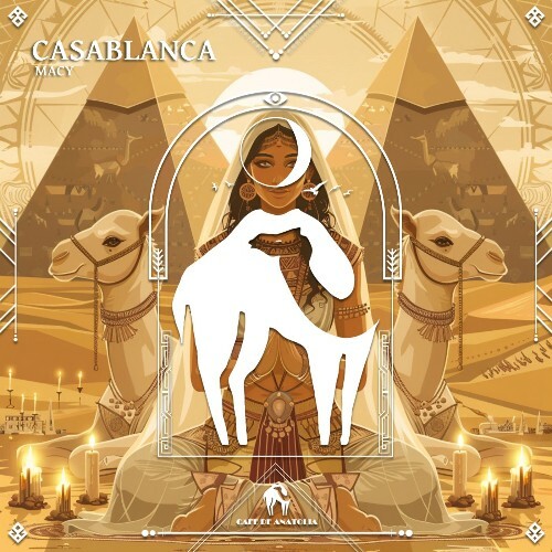  Macy - Casablanca (2025) 