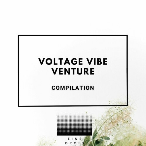 Voltage Vibe Venture (2024)