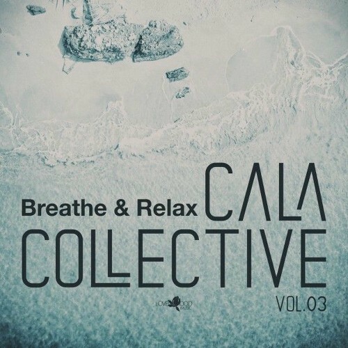  Cala Collective, Vol.03 (2025) 