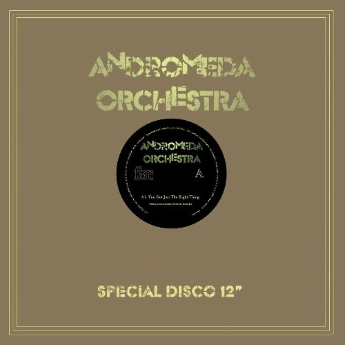  Andromeda Orchestra - You Got Just the Right Thing (2025) 