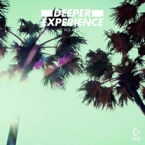  Deeper Experience, Vol. 46 (2023) 