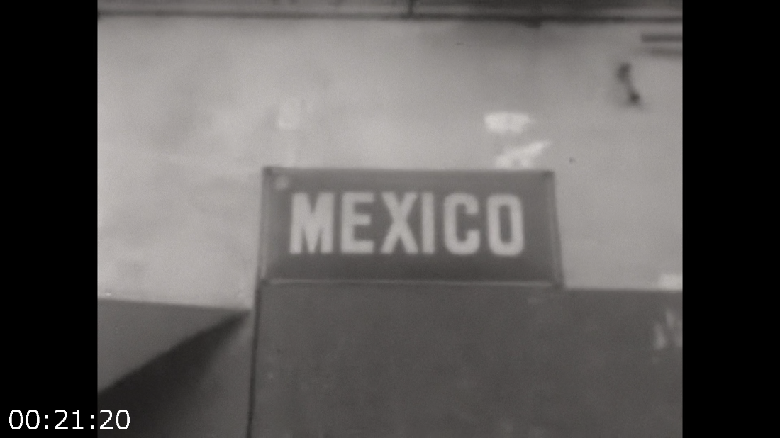 [Kép: ME1D7GL0_o.png]