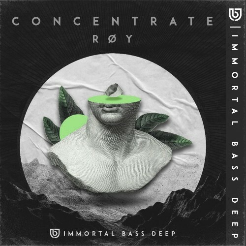  R&#216;Y - Concentrate (2025) 