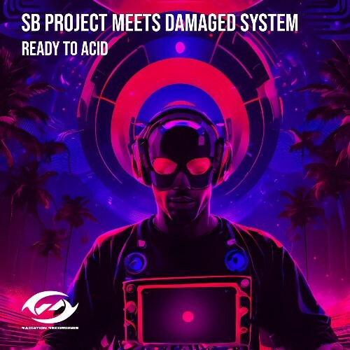  SB Project meets Damaged System - Ready To Acid (2025) 