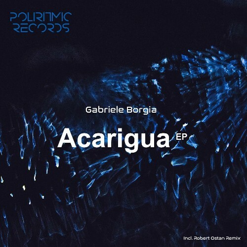  Gabriele Borgia - Acarigua (2025) 