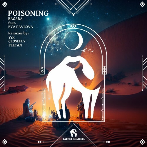 VA - Bagara & Eva Pavlova - Poisoning (2024) (MP3)