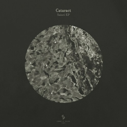  Cataract - Saisei (2024) 