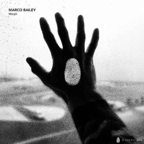  Marco Bailey - Morph (2024) 