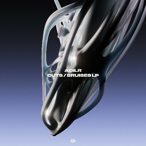  ADILR - Cuts / Bruises LP (2025) 