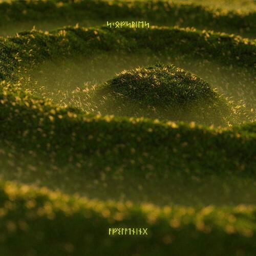 Yør Kultura — Skogvies (2026)