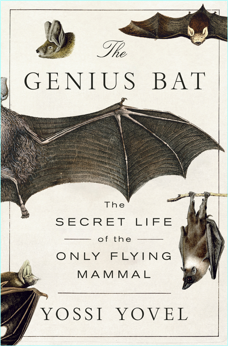 The Genius Bat The Secret Life Of The Only Flying Mammal (Yossi Yovel) The Genius Bat The Secret Life Of The Only Flying Mammal (Yossi Yovel)