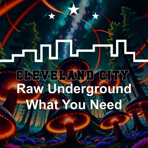 VA - Raw Underground - What You Need (2024) (MP3)