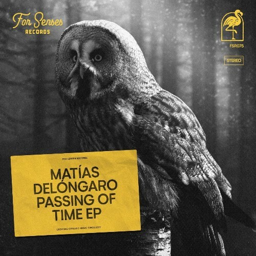  Matías Delóngaro & Javier Stefano - Passing of Time (2026) 
